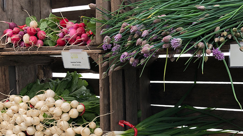 Narrowsburg Farmers’ Market - Narrowsburg, NY
