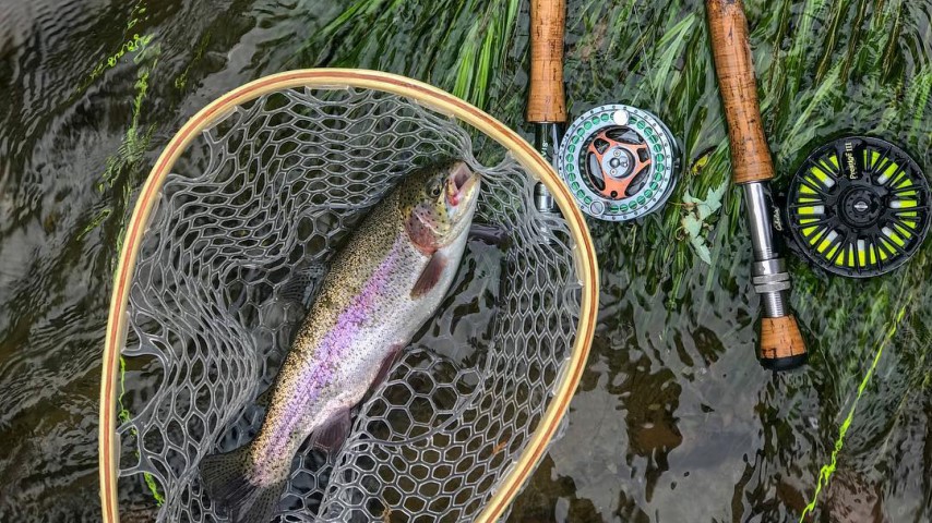 Fishing Creek, Orangeville, PA