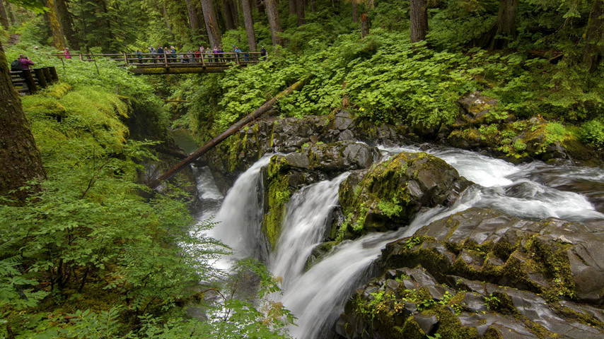 Sol Duc Falls