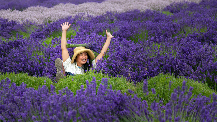 Sequin Lavender Weekend