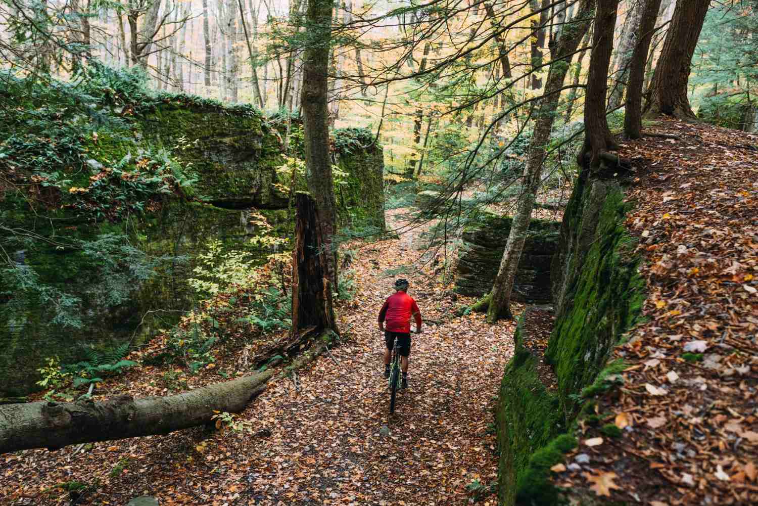 Little Rock City State Forest