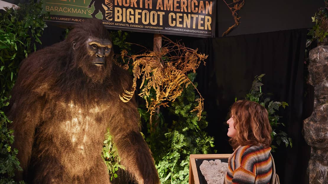 Be amazed at the North American Bigfoot Center in Boring