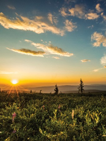 Midnight Sun, Fairbanks, AK