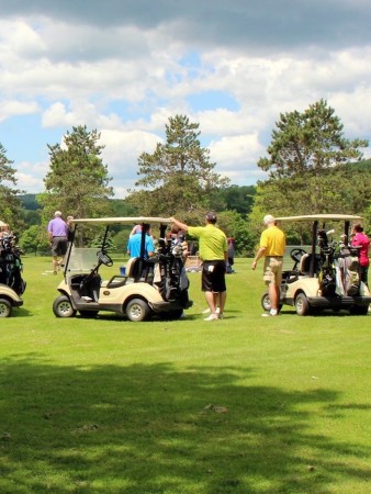 Golf Carts on the Green, Chenango County, NY