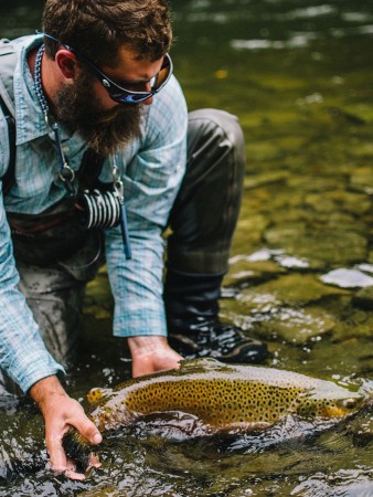 Brown Trout, Oswego, NY