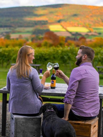 Middleburgh Winery, Schoharie County, NY