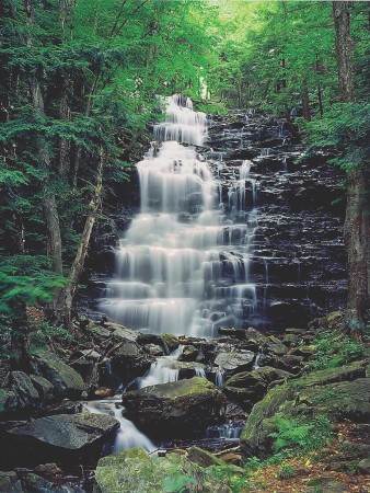 Ricketts Glen State Park, Luzerne County, PA