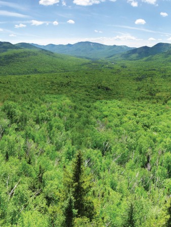 White Mountains, NH