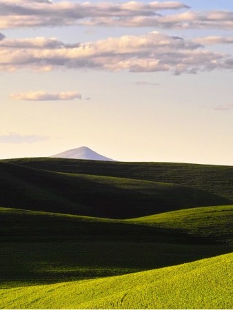 Gorgeous View of the Palouse, Pullman, WA