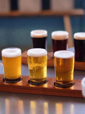 Craft Beer in Schenectady County, NY