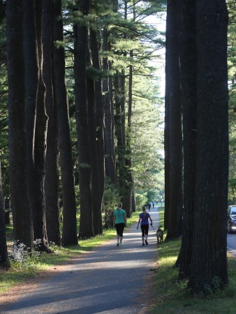 Saratoga Spa State Park, Saratoga, NY