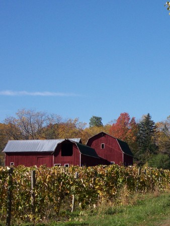 Wineries, breweries iin Watkins Glen, NY