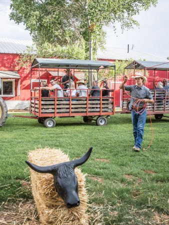 Blazin' M Ranch, Cottonwood, Arizona