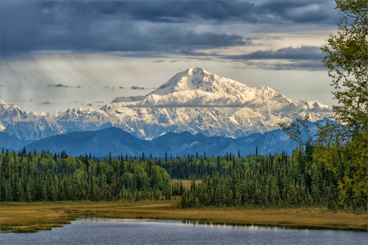 Denali National Park