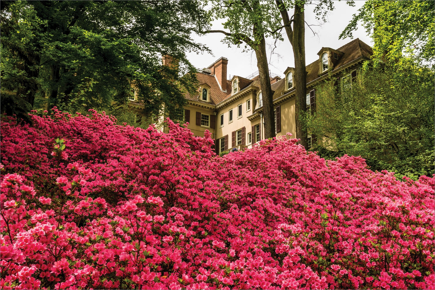 Winterthur Museum Garden and Library