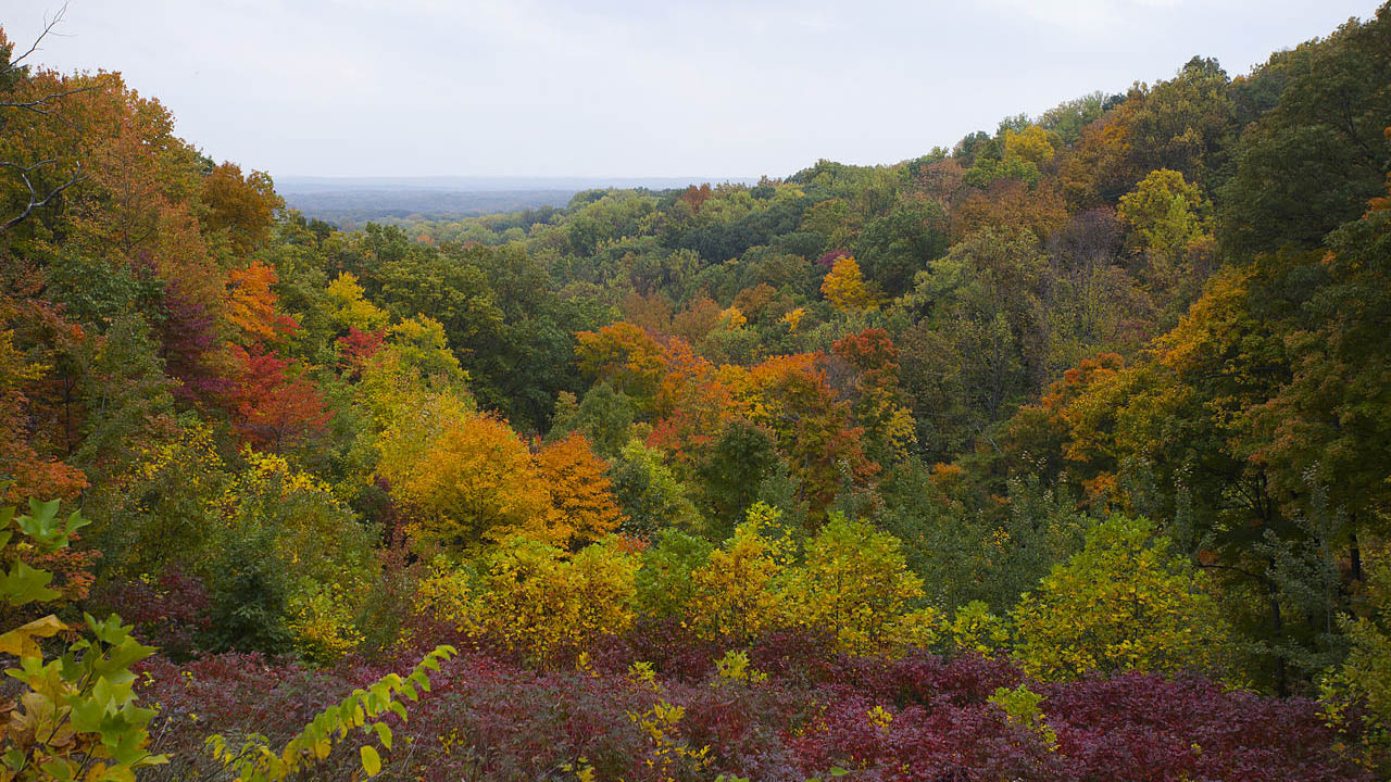 Brown County State Park