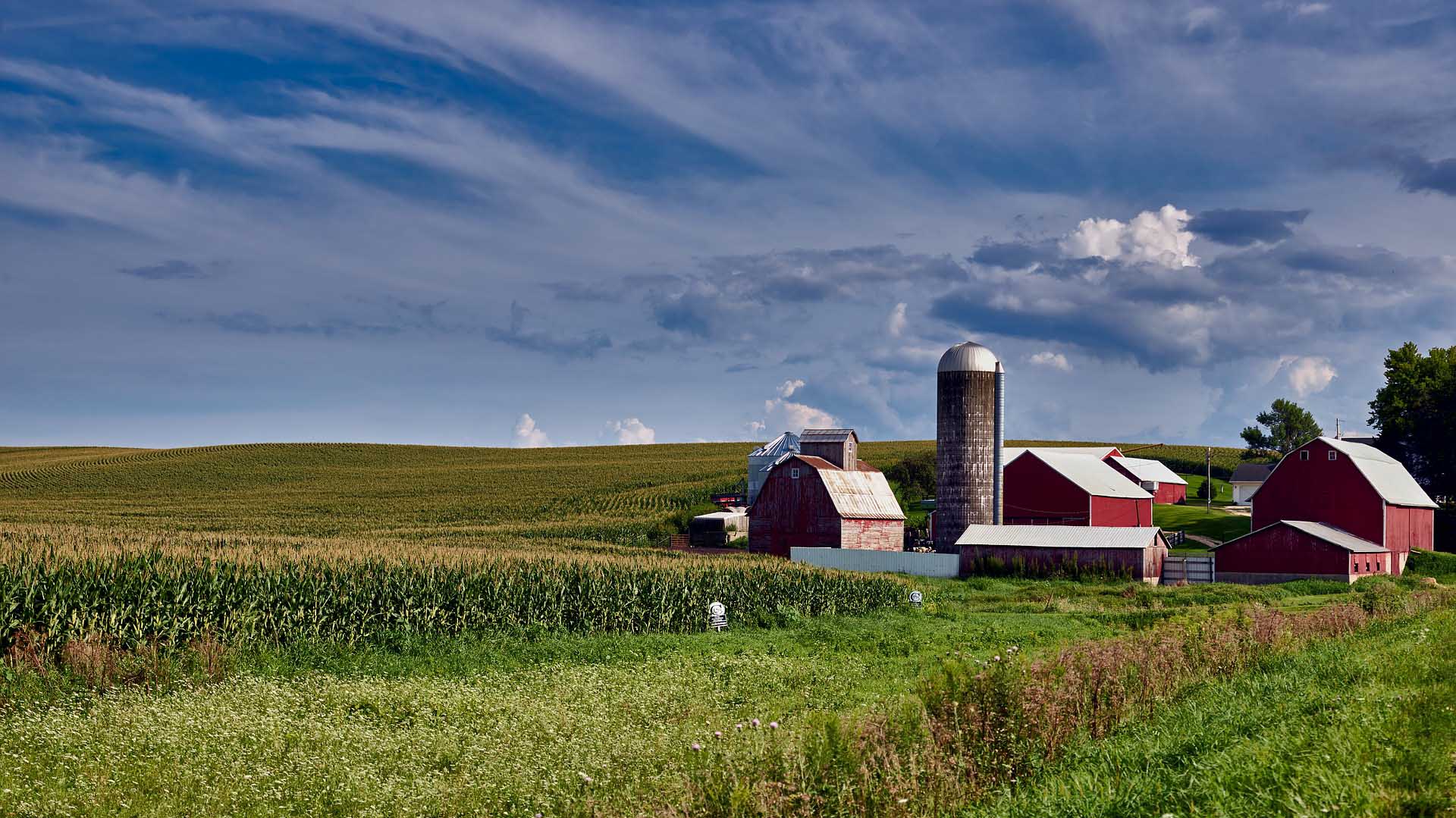 Iowa Farm Barn