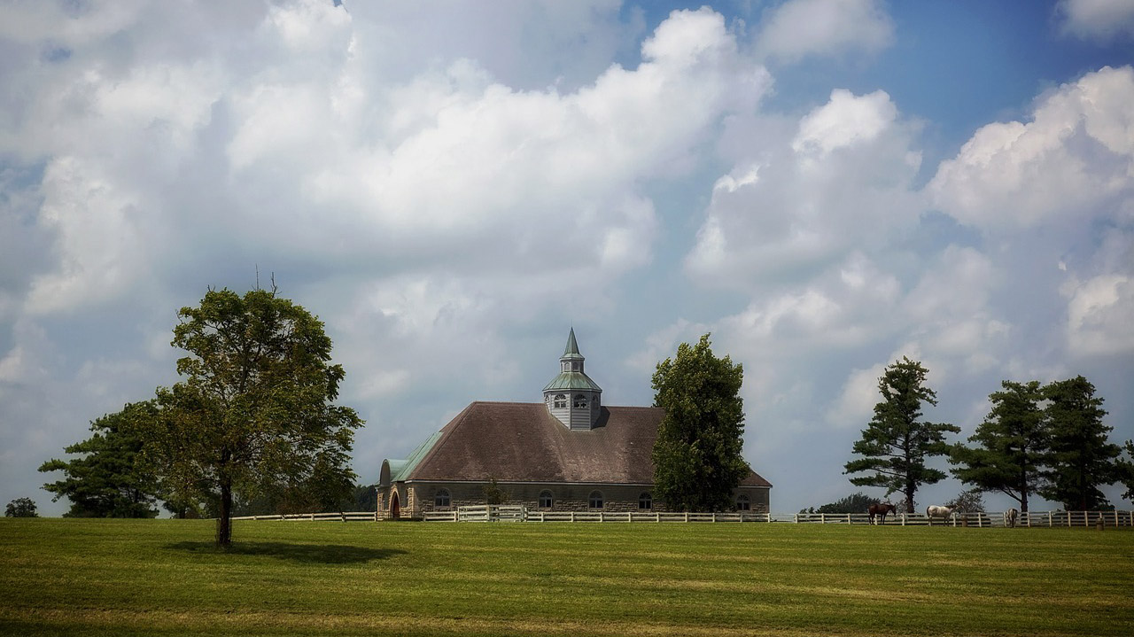 Lexington Horse Farm