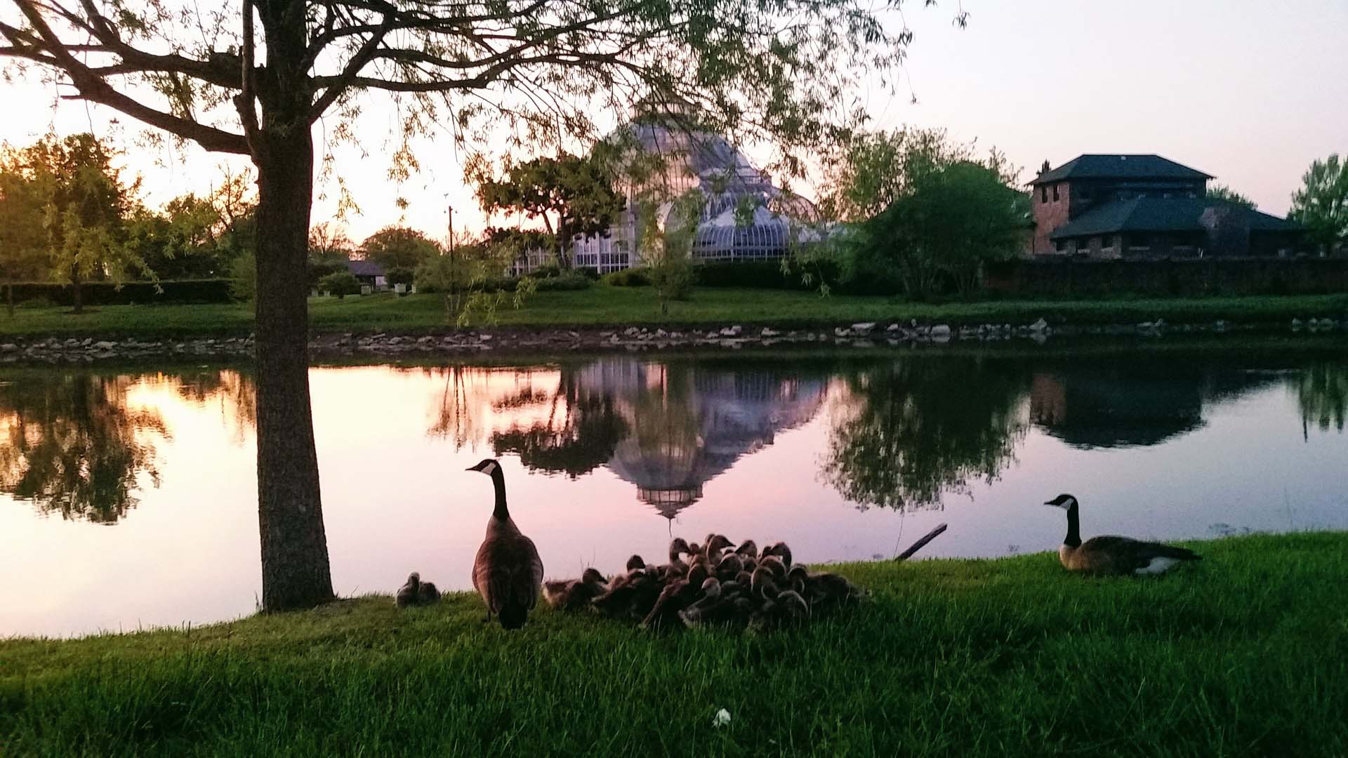 Belle Isle