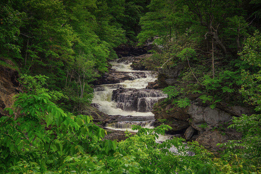 Nantahala National Forest