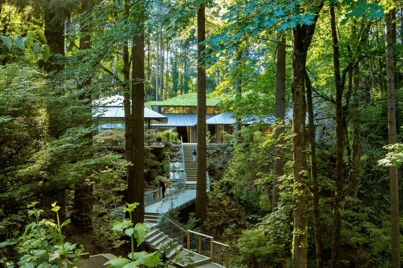 Japanese Garden