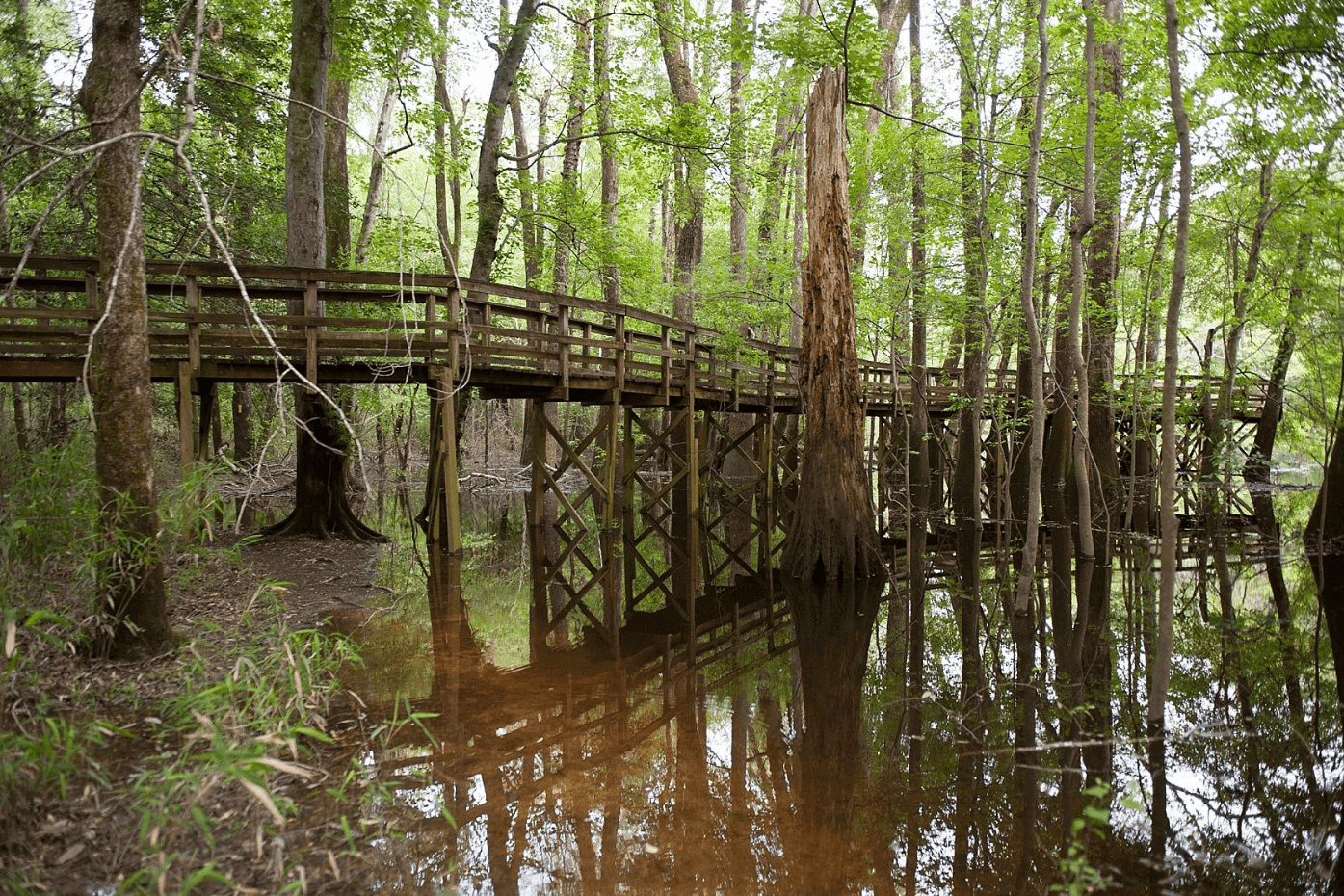 Congaree National Park