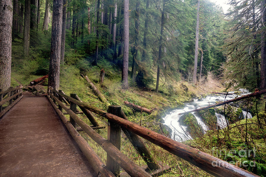 Sol Duc Falls, Olympic National Park