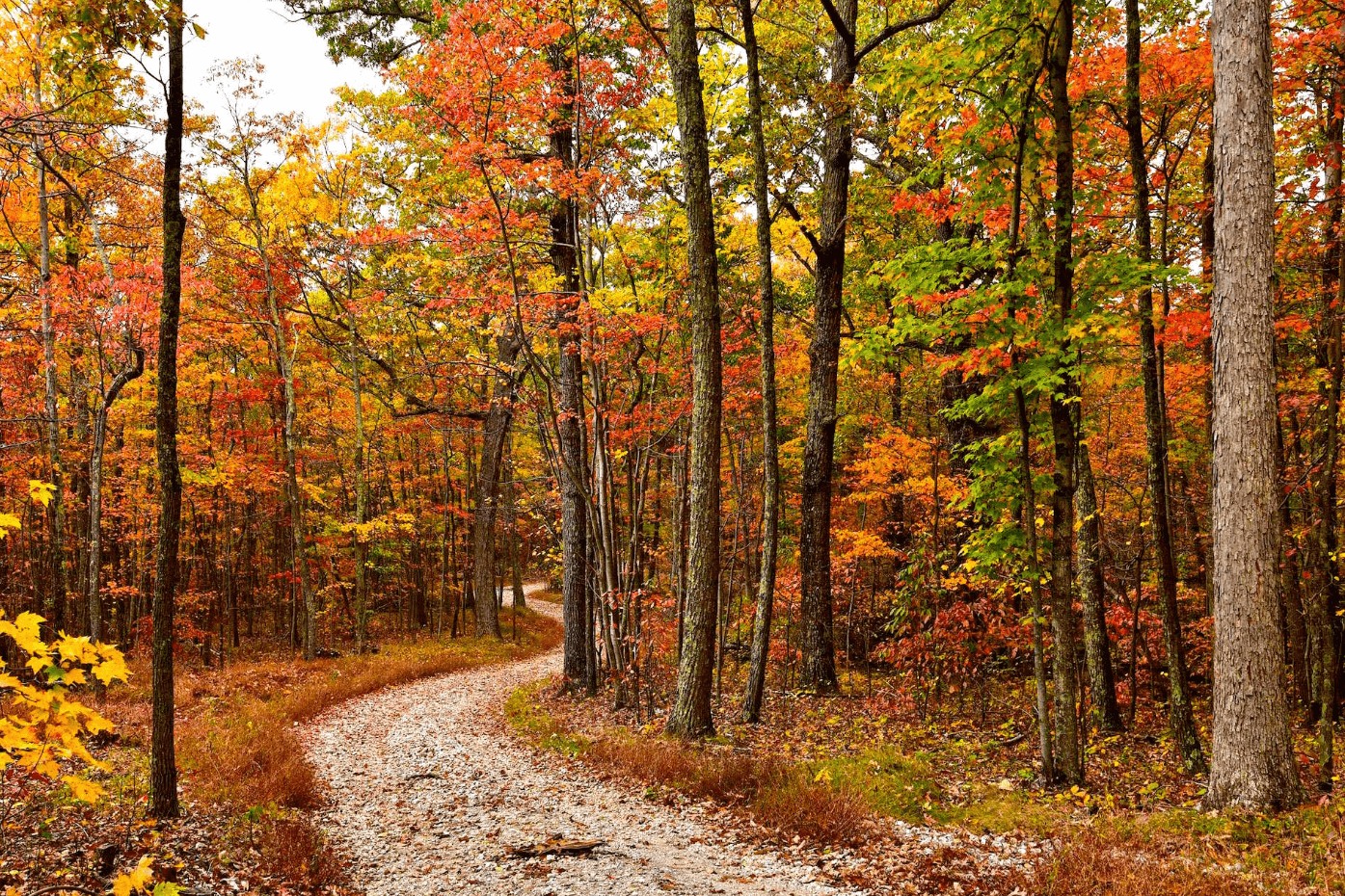 Kanawha State Forest