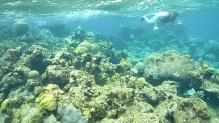 United States Virgin Islands - Coral Reef Underwater Park Trail