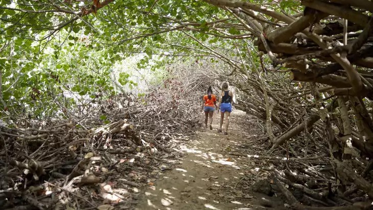 United States Virgin Islands - Hiking