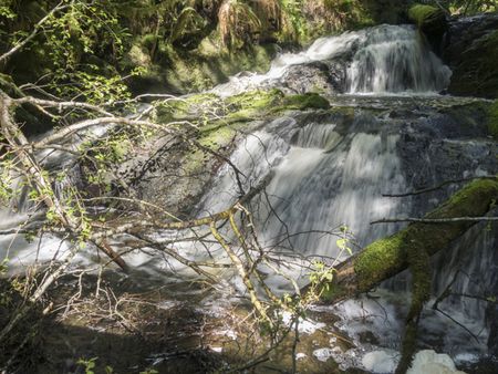 Ludlow Falls near Port Ludlow, Olympic Peninsula