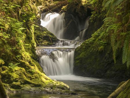 Willaby Creek Falls near Lake Quinault, Olympic Peninsula